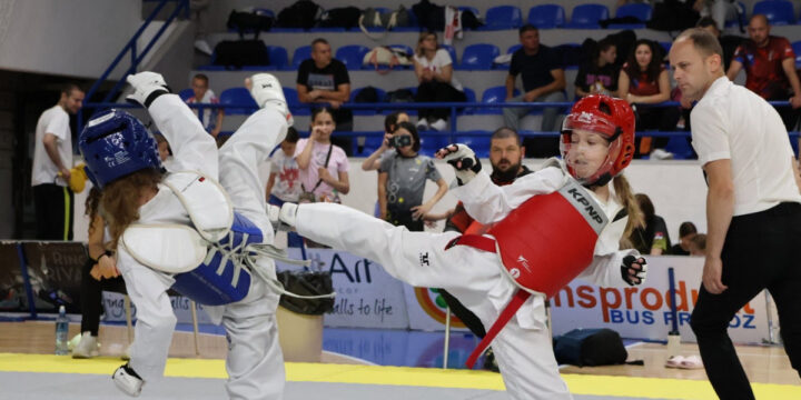 24. Prvenstvo Vojvodine