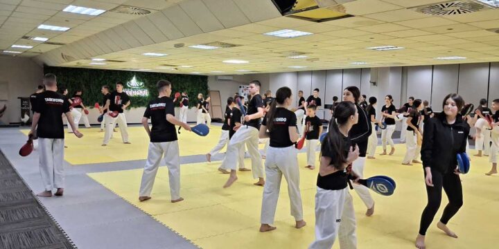 10.Tekvondo kamp održan u Vrdniku